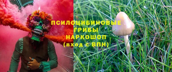 mdma Снежногорск